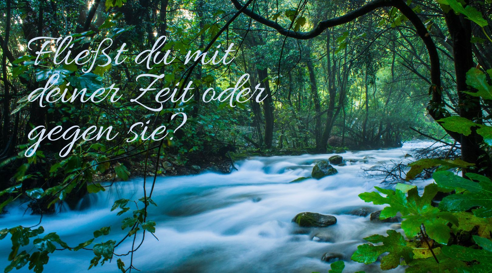 Fluss Zeit Wald