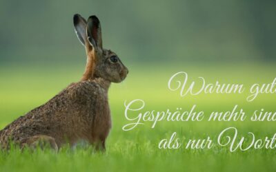 Warum gute Gespräche mehr sind als nur Worte