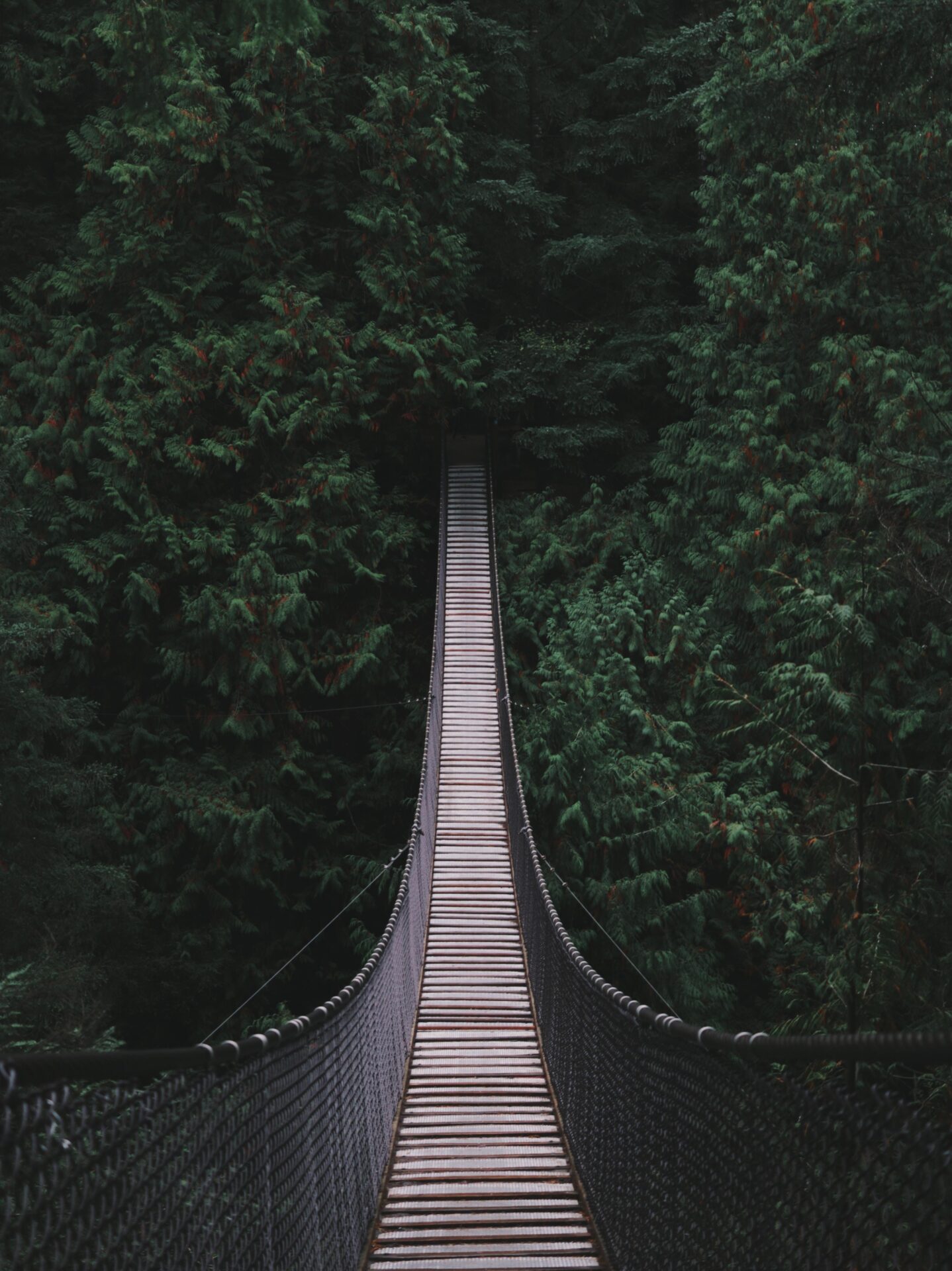 andre-a-xavier-tABAti6Qko4-unsplash.jpg